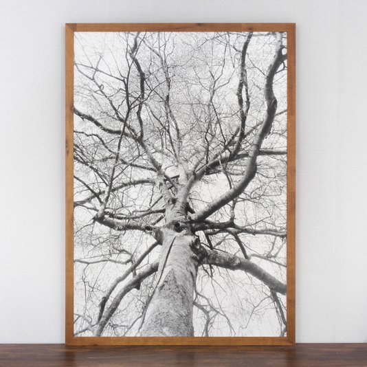 Quadro Rústico Decorativo Árvore em Preto e Branco 70x100 cm