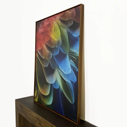 Quadro Tela Canvas Arte Abstrata Penas de Arara Colorida Sofisticada 90x120 CM