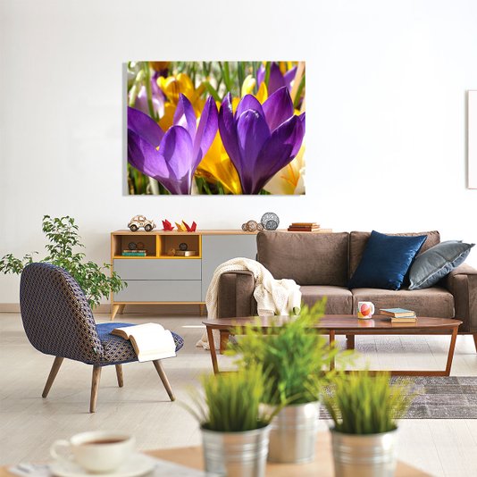 Quadro Tela Decorativa Primavera Flores Coloridas 100x75cm