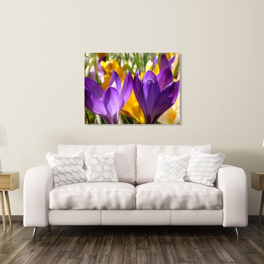 Quadro Tela Decorativa Primavera Flores Coloridas 90x60cm