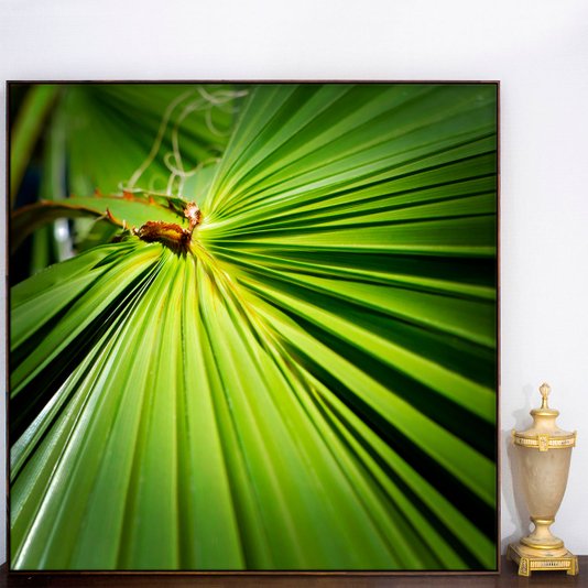 Tela Canvas Decorativa Folha Verde com Moldura Flutuante Marrom
