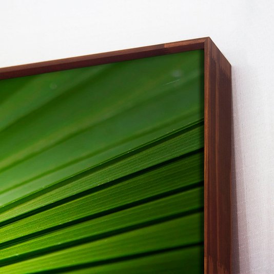 Tela Canvas Decorativa Folha Verde com Moldura Flutuante Marrom