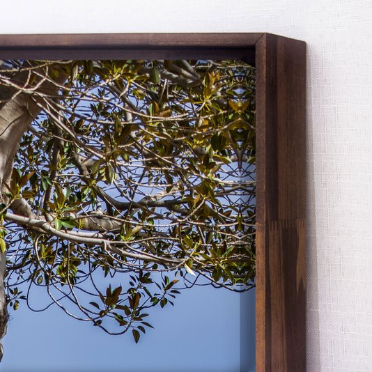 Tela Canvas Natureza Raízes Árvore com Moldura Marrom Mel - Escolha o Tamanho
