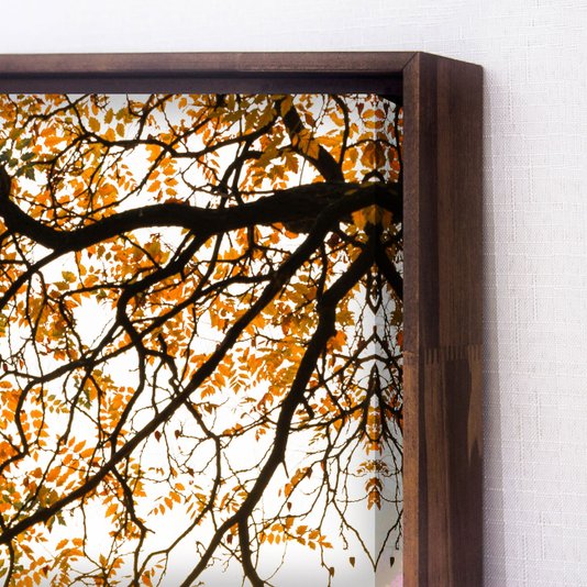 Tela Canvas Outono em Budapest com Moldura Marrom Mel - Bem-estar em sua Decoração
