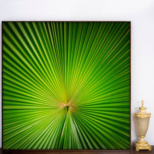 Tela Decorativa em Canvas Folha Verde com Moldura Flutuante Marrom