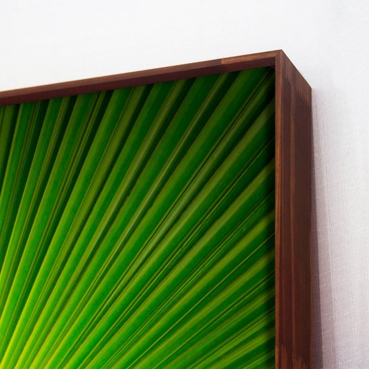 Tela Decorativa em Canvas Folha Verde com Moldura Flutuante Marrom