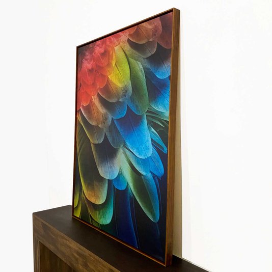 Tela em Canvas Arte Abstrata Penas de Arara: Elegância com Moldura Marrom