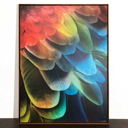 Tela em Canvas Arte Abstrata Penas de Arara: Elegância com Moldura Marrom