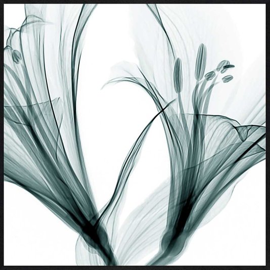 Trio de Quadros Flores na Cor Verde Água 3 Quadros de 30x30 cm