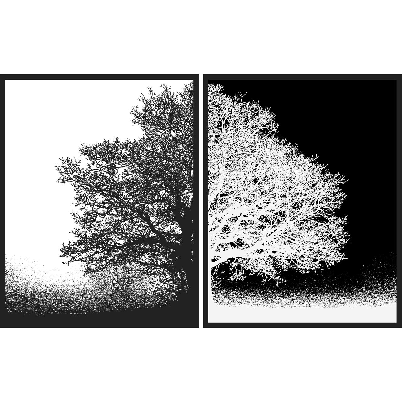 Par de Quadros em Preto e Branco Árvore Positivo Negativo 