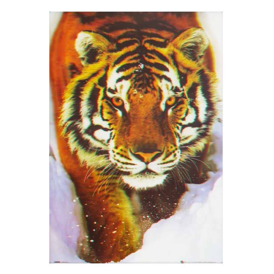 Poster 3D Tigre Andando Sobre a Neve 50x70cm com/sem Moldura