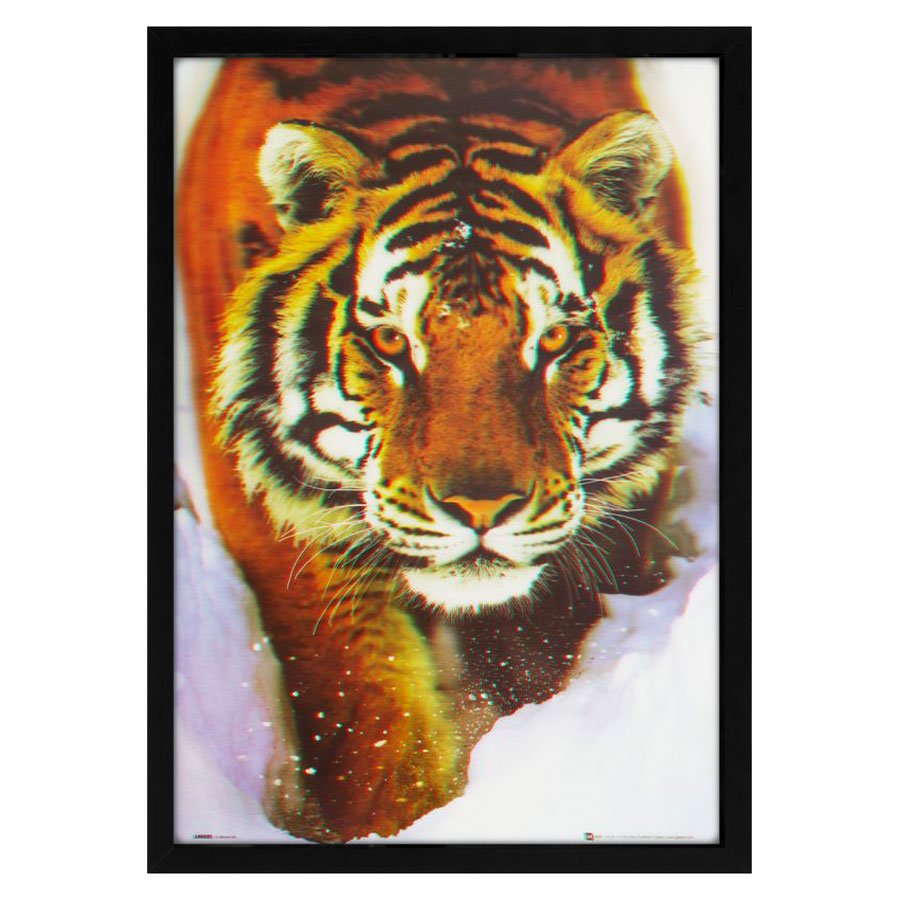 Poster O tigre de imagem 3d emerge da parede destruída