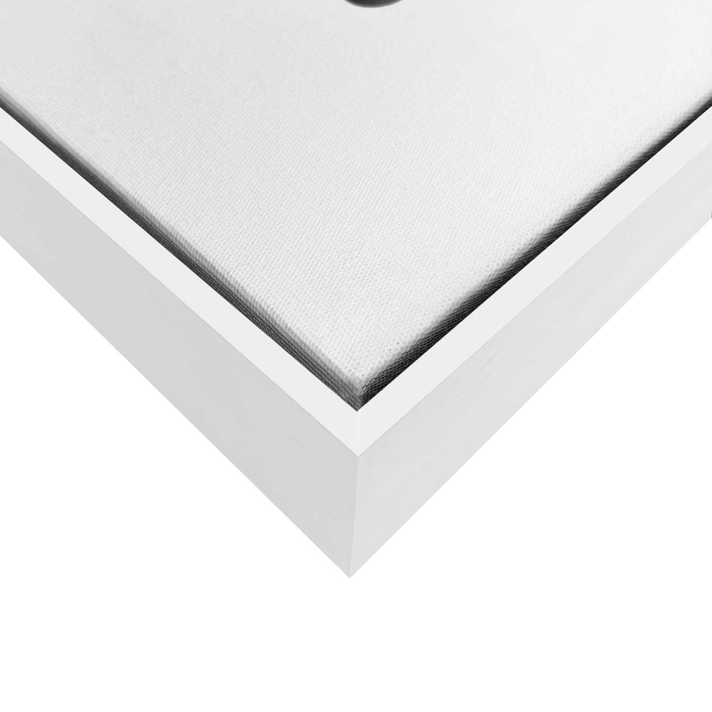Quadro Arte Minimalista Abstrata com Formas Orgânicas e Linhas Geométricas