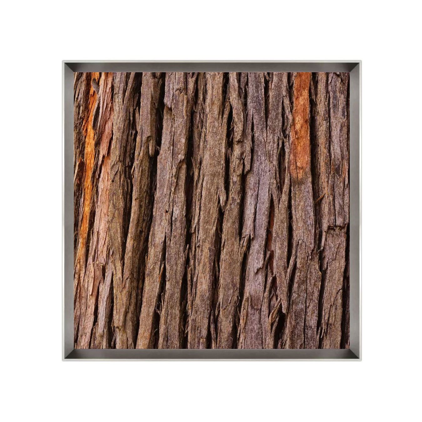 Quadro Decorativo Fotografia Textura Casca de Árvore por Dorival Moreira - Escolha o Tamanho
