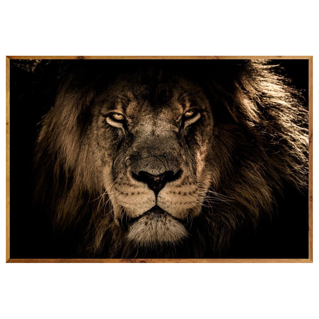 Leão Face Tribo de Judá Rei Preto e Branco - Estilo Arte Design
