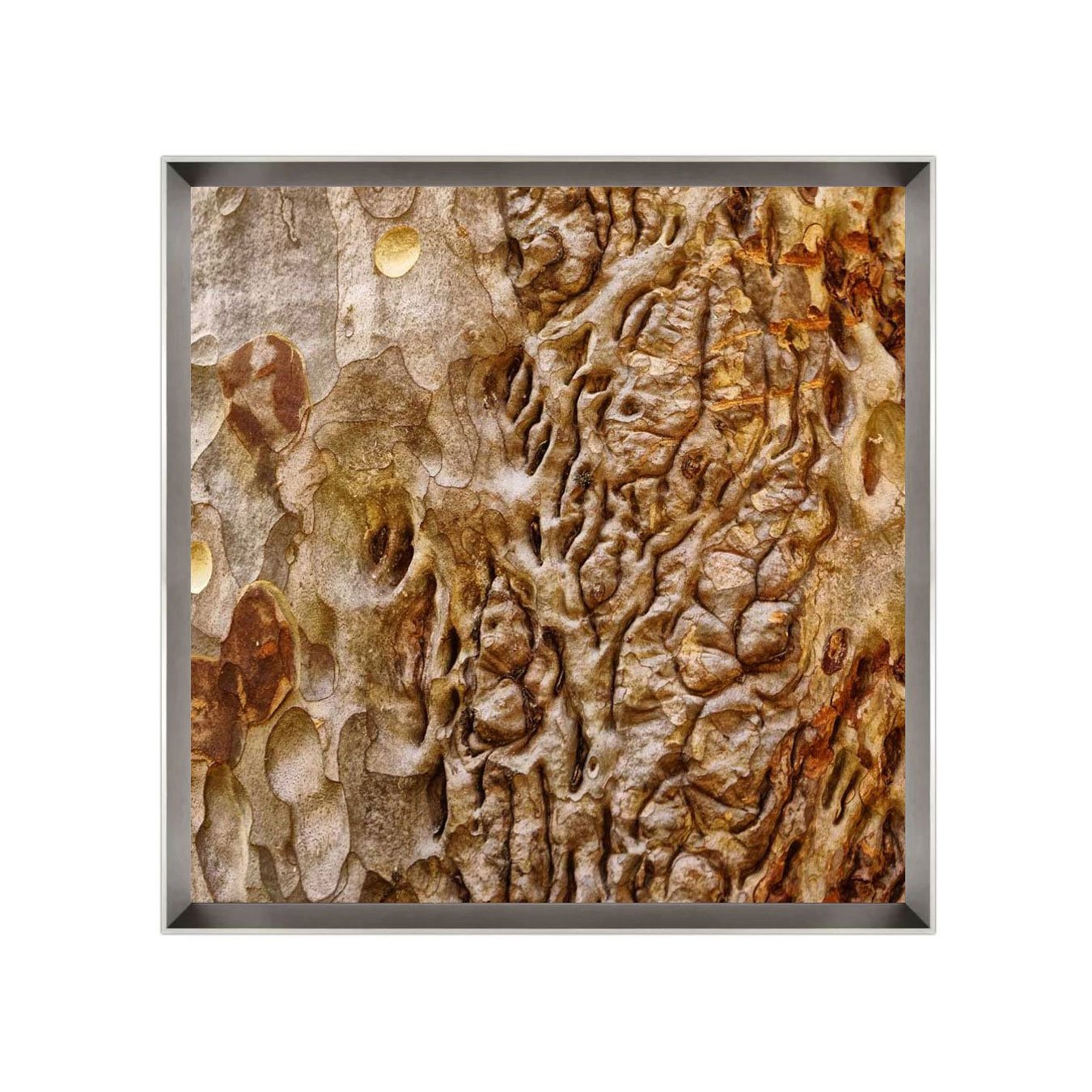 Quadro Decorativo Textura Casca de Árvore por Dorival Moreira - Escolha o Tamanho
