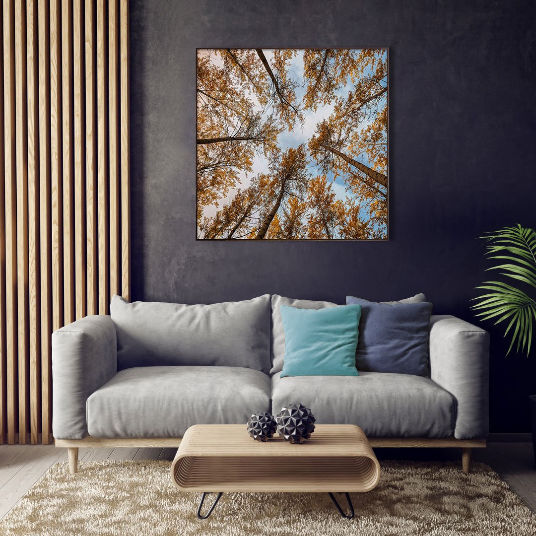 Quadro em Tela Canvas com Moldura Galhos de Árvores 120x120 cm