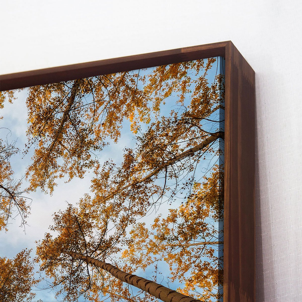 Quadro em Tela Canvas com Moldura Galhos de Árvores 120x120 cm
