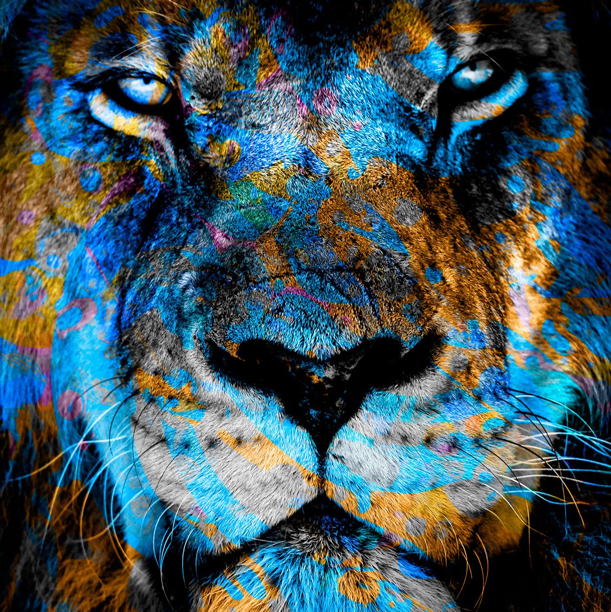 Quadro Grande Leão Colorido Tons Azuis para Sala 100x100 cm