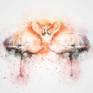 Quadro Decorativo Tela em Canvas Ilustração Aves Flamingos 60x60cm Quadro Decorativo Tela em Canvas Ilustração Aves Flamingos 60x60cm