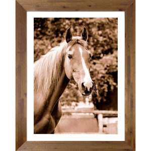 Quadro com Moldura Rústica Decorativo Cavalo em Tom Estilo Antigo 70x90cm Quadro com Moldura Rústica Decorativo Cavalo em Tom Estilo Antigo 70x90cm