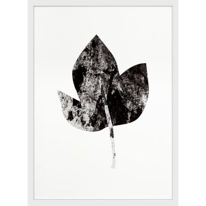 Quadro Decorativo Folha Minimalista com Moldura Branca 50x70cm