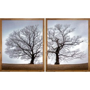 Kit 2 Quadros com Moldura Rústica Árvore Seca de Outono 130x80 cm Kit 2 Quadros com Moldura Rústica Árvore Seca de Outono 130x80 cm