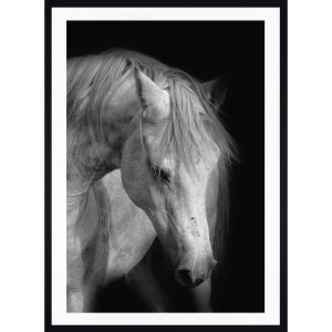 Quadro Decorativo com Moldura Preta Cavalo em Preto e Branco - Escolha o Tamanho