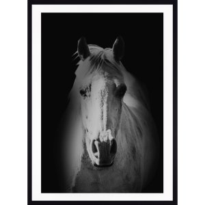 Quadro Decorativo Cavalo em Preto e Branco com Moldura Preta - Escolha o Tamanho