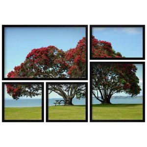 Conjunto de Quadros Árvores Praia Cornwallis Kit com 5 Quadros Conjunto de Quadros Árvores Praia Cornwallis Kit com 5 Quadros