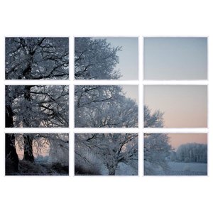 Conjunto de Quadros Árvores no Inverno Kit com 9 Quadros