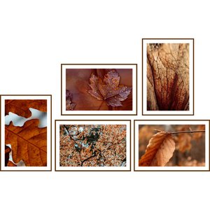 Conjunto de Quadros Folhas de Outono Kit com 5 Quadros de 30x20 cm