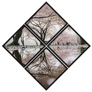 Conjunto de Quadros Losango Flor de Cerejeira 120x120cm