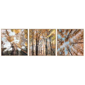 Conjunto de Quadros Paisagens Florestas 3 Quadros de 30x30 cm