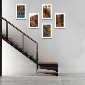 Conjunto de Quadros Paisagens Florestas 5 Quadros de 20x30 cm