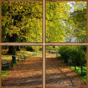 Conjunto de Quadros Rústicos Paisagem Parque Kit com 4 Quadros de 60x60 cm