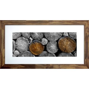 Quadro Decorativo Rústico Troncos de Madeira Cortados 110x60cm Quadro Decorativo Rústico Troncos de Madeira Cortados 110x60cm