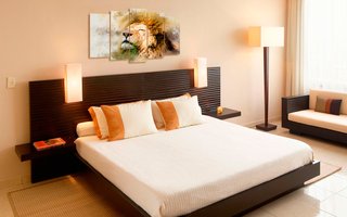 Conjunto de Quadros Telas Decorativas Leão Kit com 5 Quadros