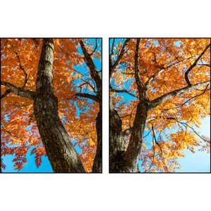 Kit de Quadros Árvore com Folhas Laranjas Kit com 2 Quadros de 60x80 cm