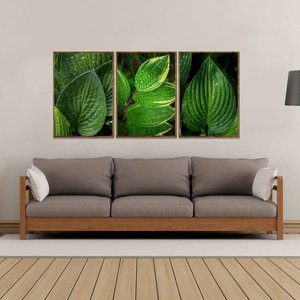 Kit de Quadros Moldura Rústica Folhas Verdes Kit com 3 Quadros de 70x100cm
