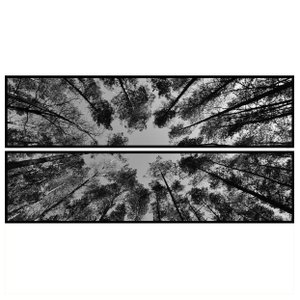 Par de Quadros Floresta em Preto e Branco 2 Quadros de 180x45cm