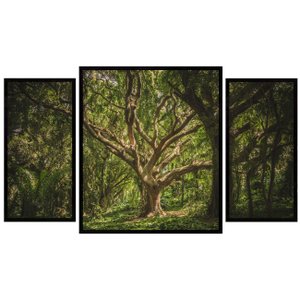 Kit de Quadros Decorativos Floresta Hawaii Árvores  130x70cm Kit de Quadros Decorativos Floresta Hawaii Árvores  130x70cm