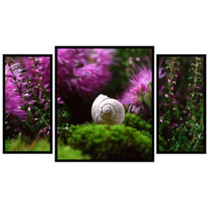 Kit de Quadros Decorativos Natureza Concha de Caracol 130x70cm Kit de Quadros Decorativos Natureza Concha de Caracol 130x70cm