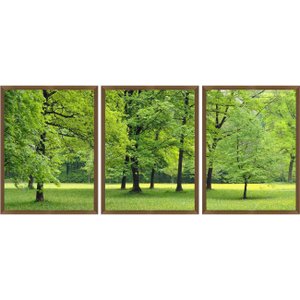 Kit de Quadros Decorativos Natureza Verde Kit com 3 Quadros de 60x80cm Kit de Quadros Decorativos Natureza Verde Kit com 3 Quadros de 60x80cm