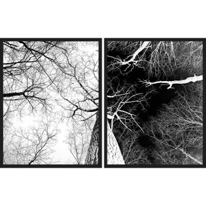 Kit Quadros em Preto e Branco Árvore Seca Positivo Negativo Kit com 2 Quadros de 55x70cm