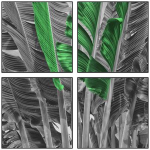 Kit de Quadros Folhas de Bananeira por Dorival Moreira 120x120 cm