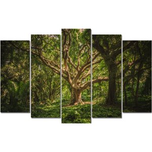 Kit de Quadros Telas Decorativas Floresta Hawaii Árvores Kit com 5 Telas