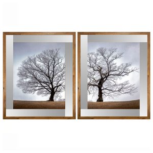 Par de Quadros com Moldura Rústica e Espelho Árvore Seca 2 Quadros de 64x79cm
