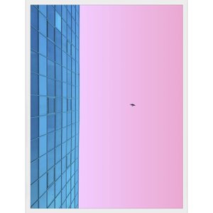 Quadro Arquitetura Fachada em Vidro de Edifício 60x80cm