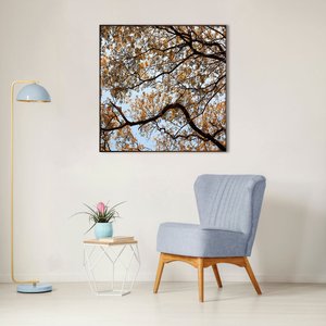 Quadro em Canvas com Moldura Marrom Galhos de Árvores - Escolha o Tamanho